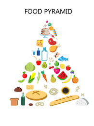 Illustration of food pyramid on white background. Nutritionist's recommendations