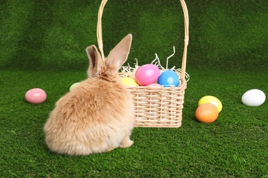 Adorable furry Easter bunny near wicker basket and dyed eggs on green grass