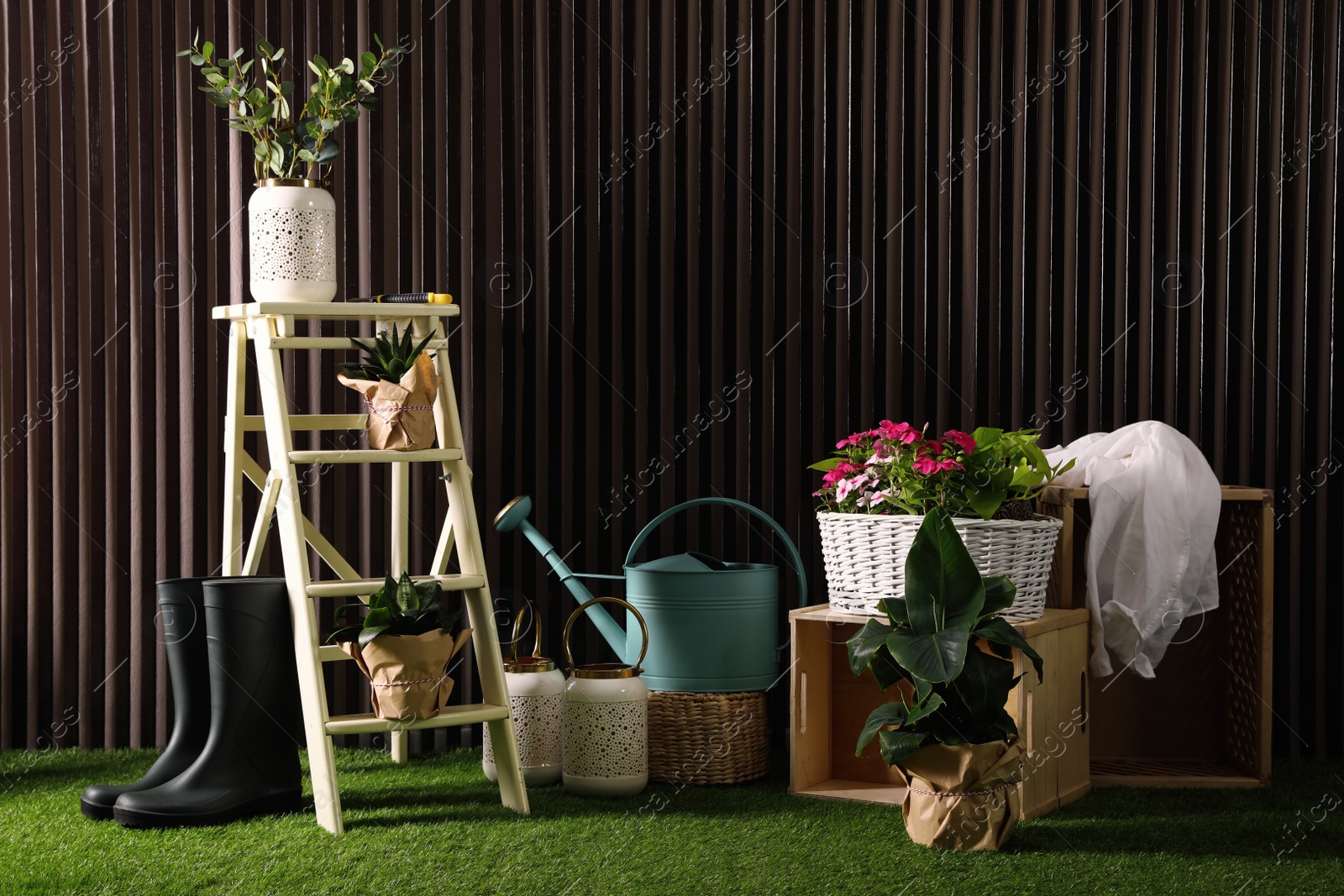 Photo of Beautiful plants, gardening tools and accessories on green grass near wood slat wall