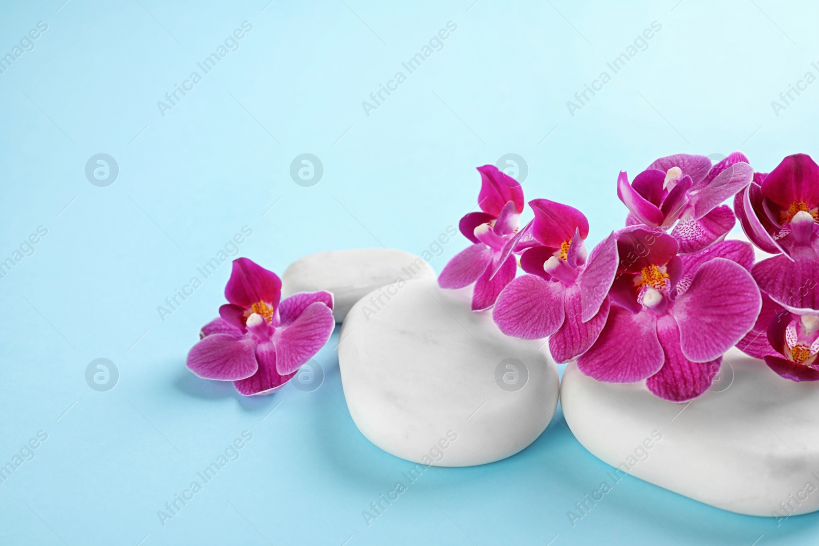 Photo of Orchid with white spa stones on light blue background