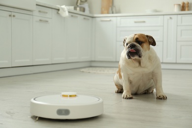 Robotic vacuum cleaner and adorable dog on floor in kitchen