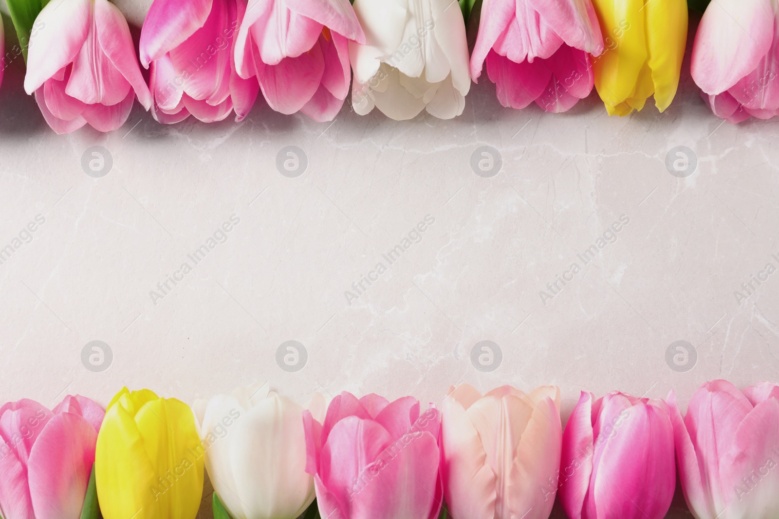 Photo of Flat lay composition of beautiful tulips  on marble background, space for text. International Women's Day