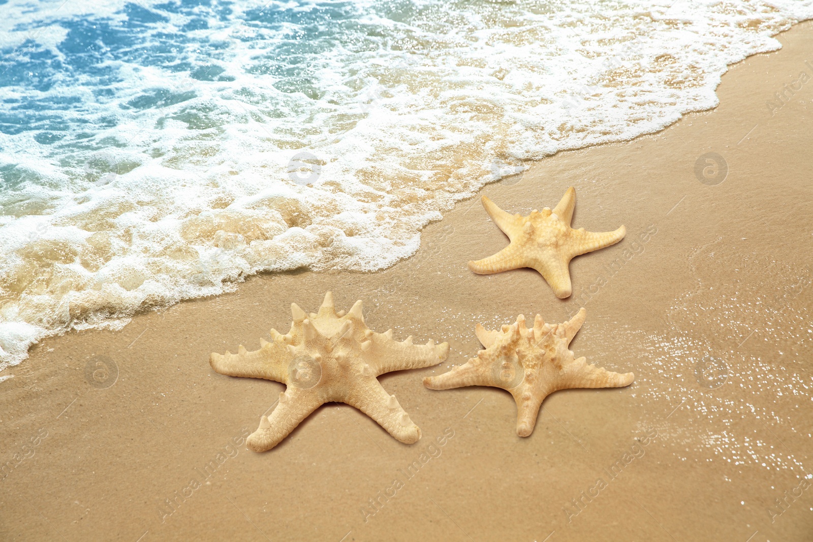 Image of Beautiful waves and sea stars on sandy beach