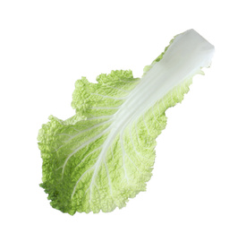 Photo of Fresh Chinese cabbage leaf isolated on white