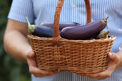 Man holding wicker basket with ripe eggplants on blurred green background, closeup