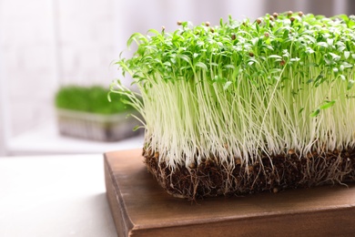 Fresh organic microgreen on white table, closeup