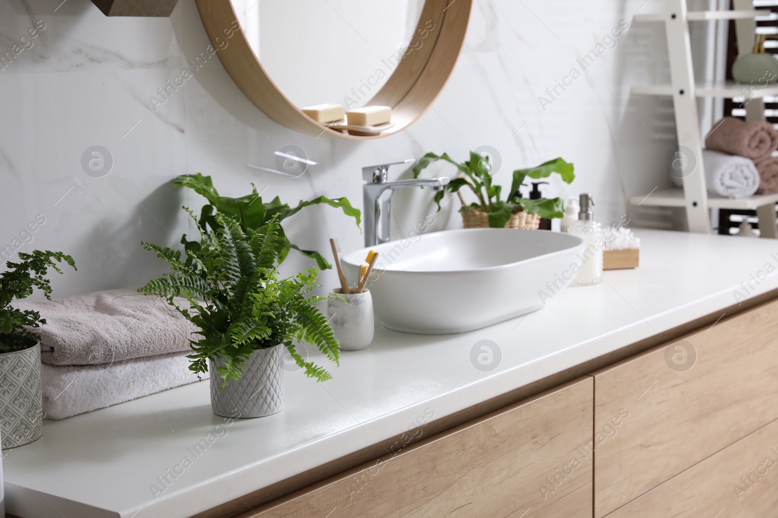 Photo of Beautiful green ferns and toiletries on countertop in bathroom