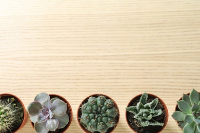 Flat lay composition with different succulent plants in pots on wooden table, space for text. Home decor