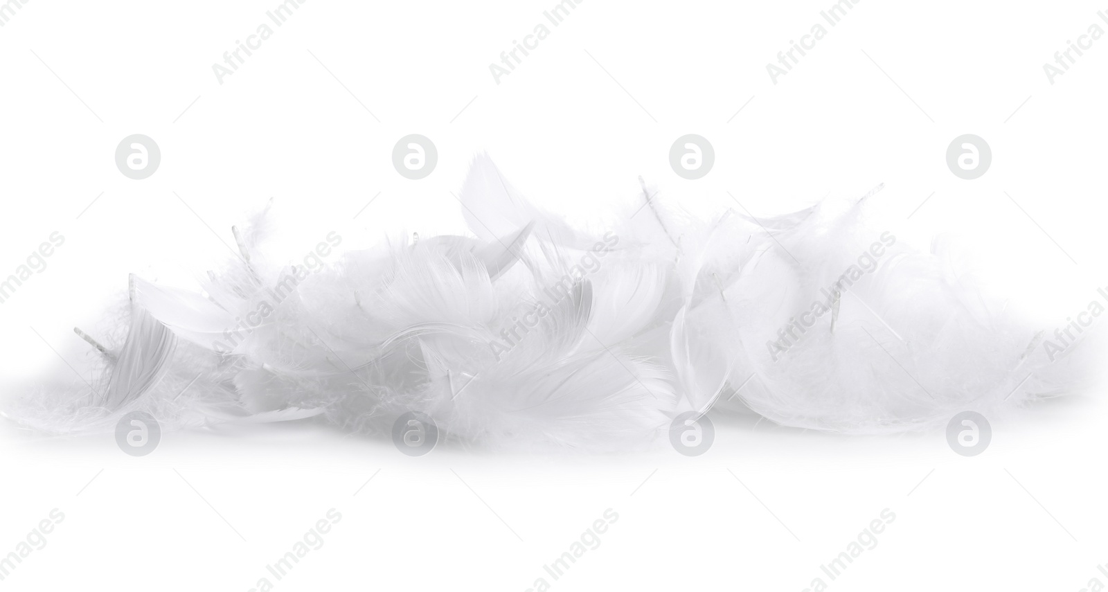 Photo of Beautiful fluffy bird feathers isolated on white