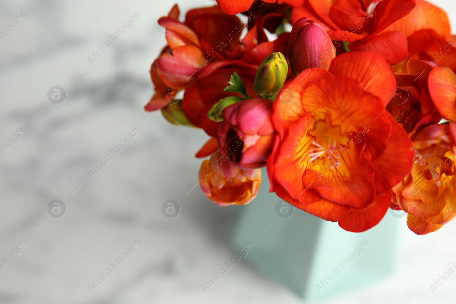 Photo of Bouquet of spring freesia flowers on table, closeup. Space for text