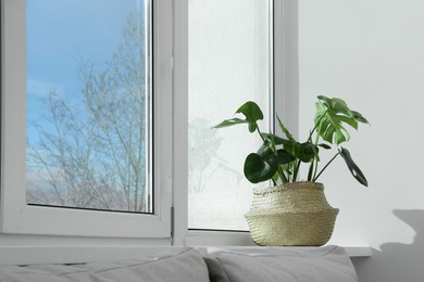 Photo of Beautiful potted monstera plant growing on windowsill indoors. Space for text