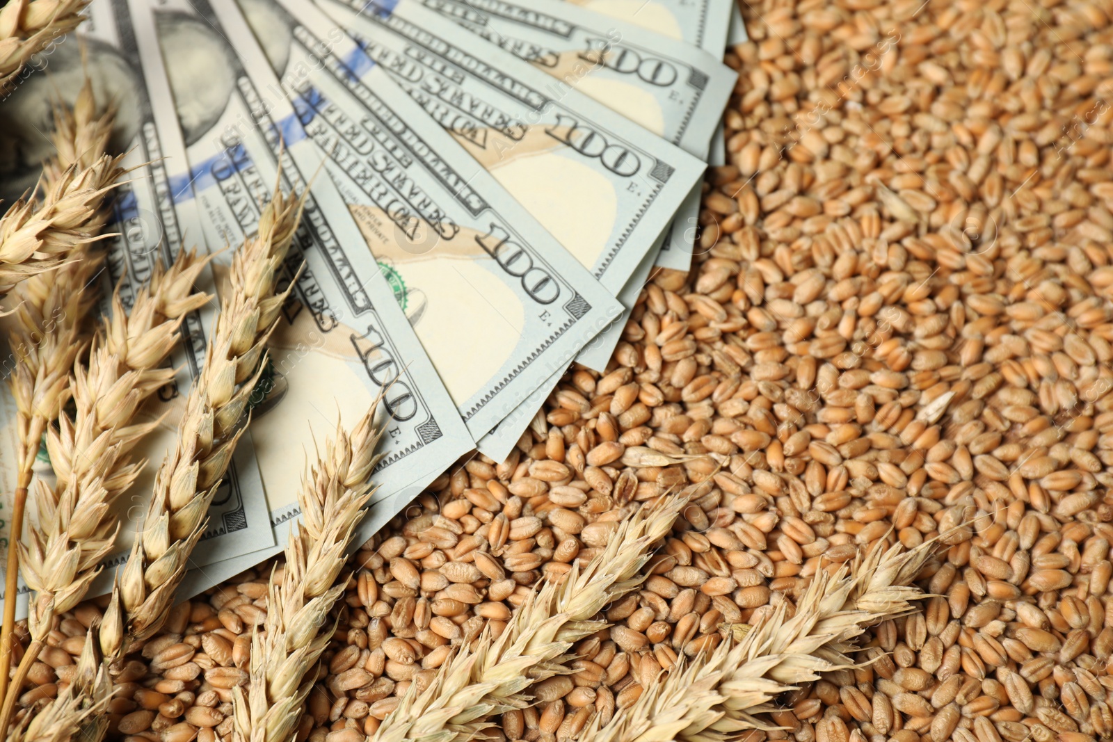 Photo of Dollar banknotes and wheat ears on grains, above view. Agricultural business