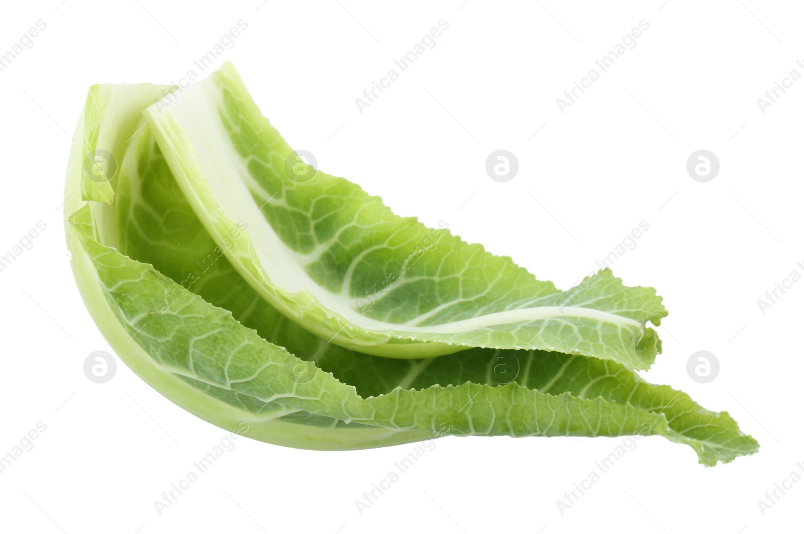 Photo of Fresh leaves of chinese cabbage on white background, top view