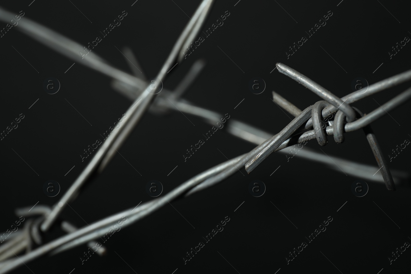 Photo of Metal barbed wire on dark grey background, closeup