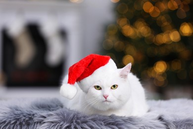 Photo of Adorable cat wearing Christmas hat on fur rug indoors