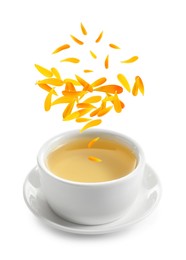 Beautiful calendula flowers and petals falling into cup of freshly brewed tea on white background