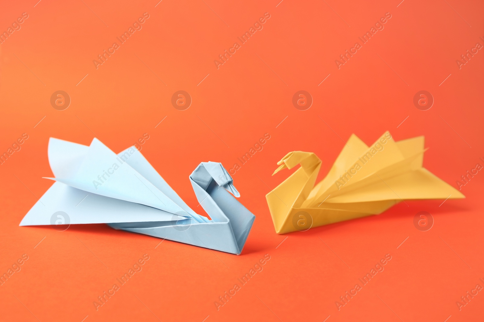 Photo of Origami art. Beautiful paper swans on orange background