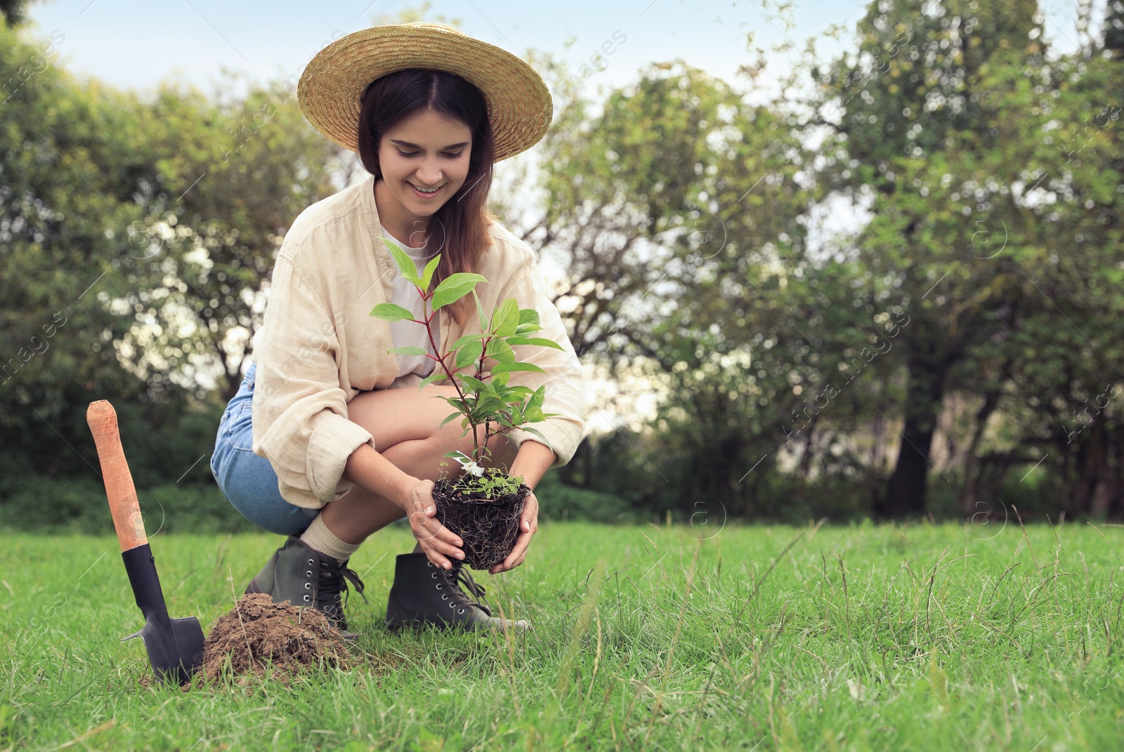 Photo of Young woman planting tree in garden, space for text