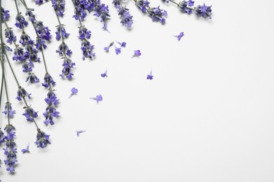 Photo of Beautiful aromatic lavender flowers on white background, flat lay. Space for text
