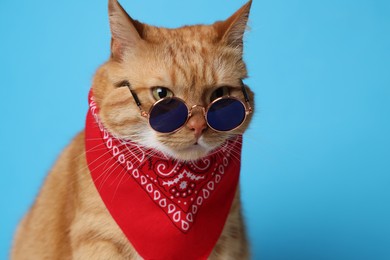 Photo of Cute ginger cat with bandana and sunglasses on light blue background. Adorable pet