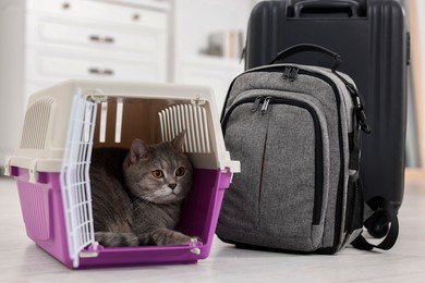 Photo of Travel with pet. Cute cat in carrier, backpack and suitcase indoors
