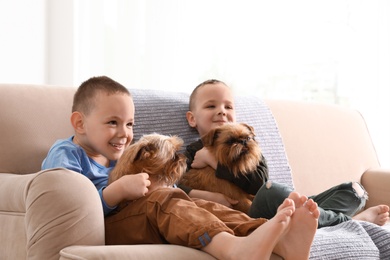 Portrait of cute boys with funny Brussels Griffon dogs at home. Loyal friends