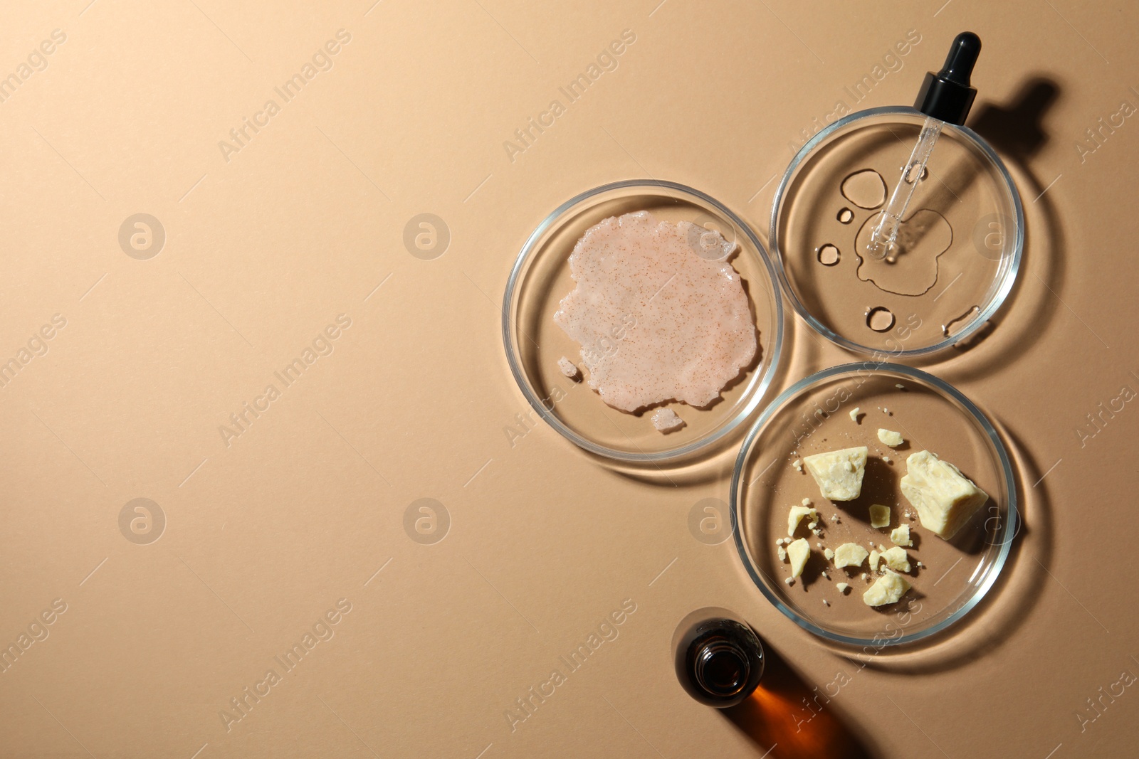 Photo of Flat lay composition with Petri dishes on beige background. Space for text