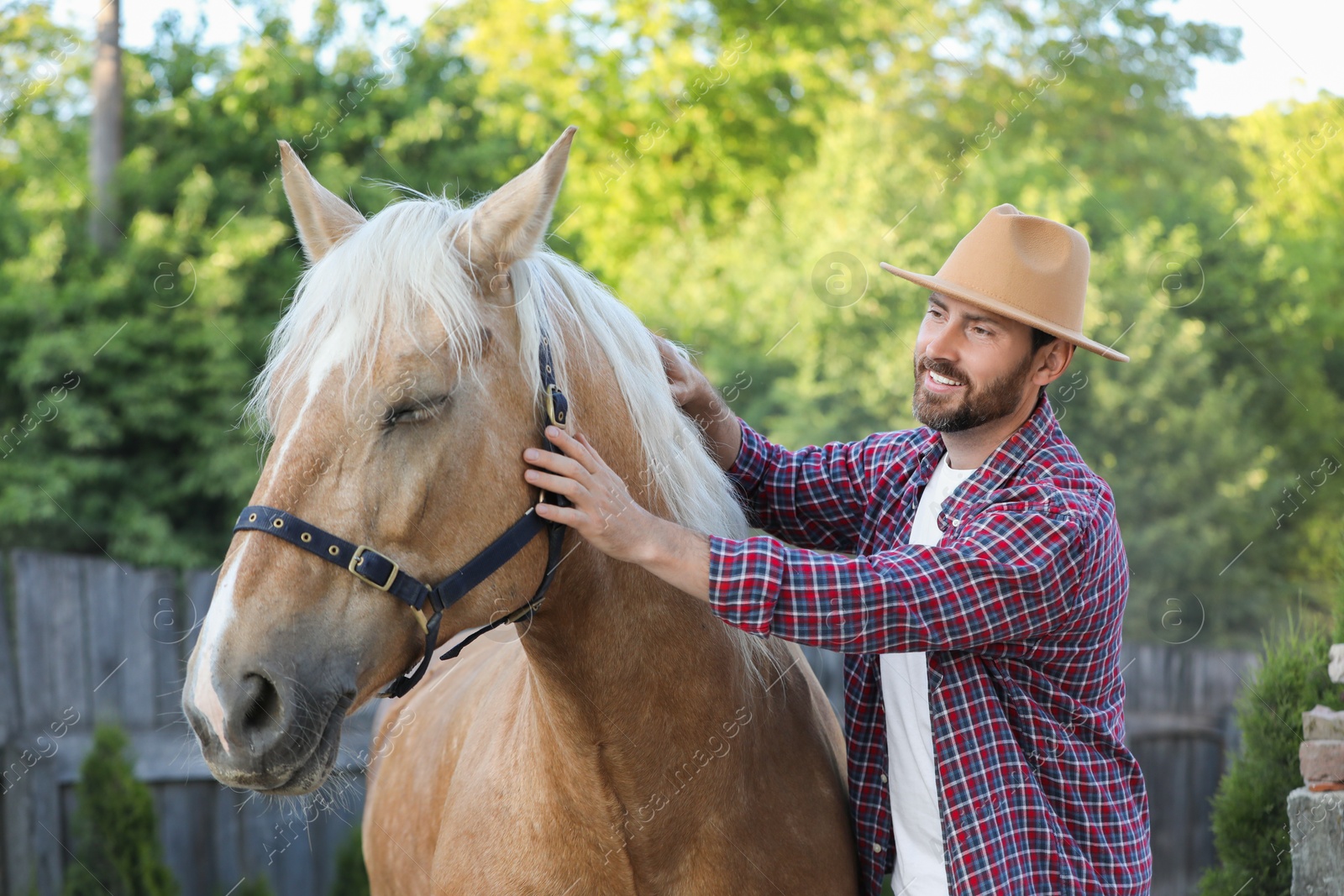 Photo of Handsome man with adorable horse outdoors. Lovely domesticated pet