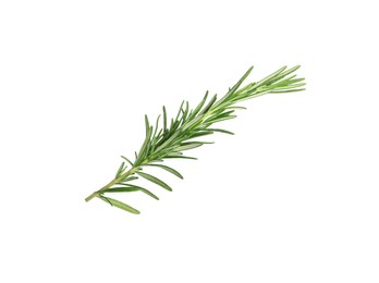 Photo of Sprig of fresh rosemary isolated on white