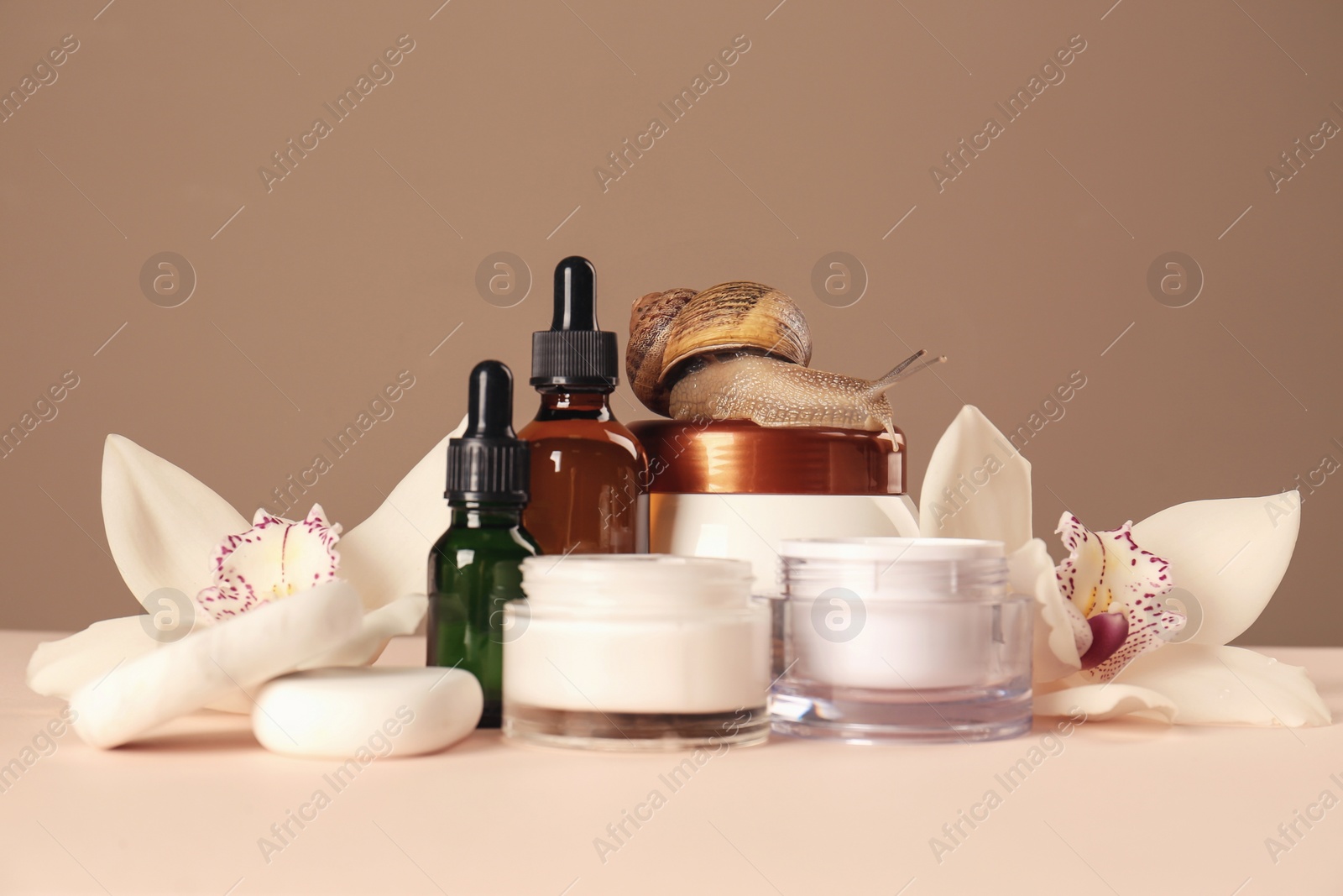 Photo of Organic cosmetics made with mucin, snail, spa stones and beautiful flowers on table
