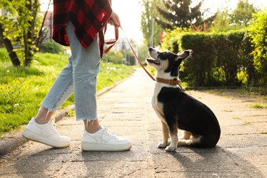 Photo of Woman with her cute dog in park, closeup