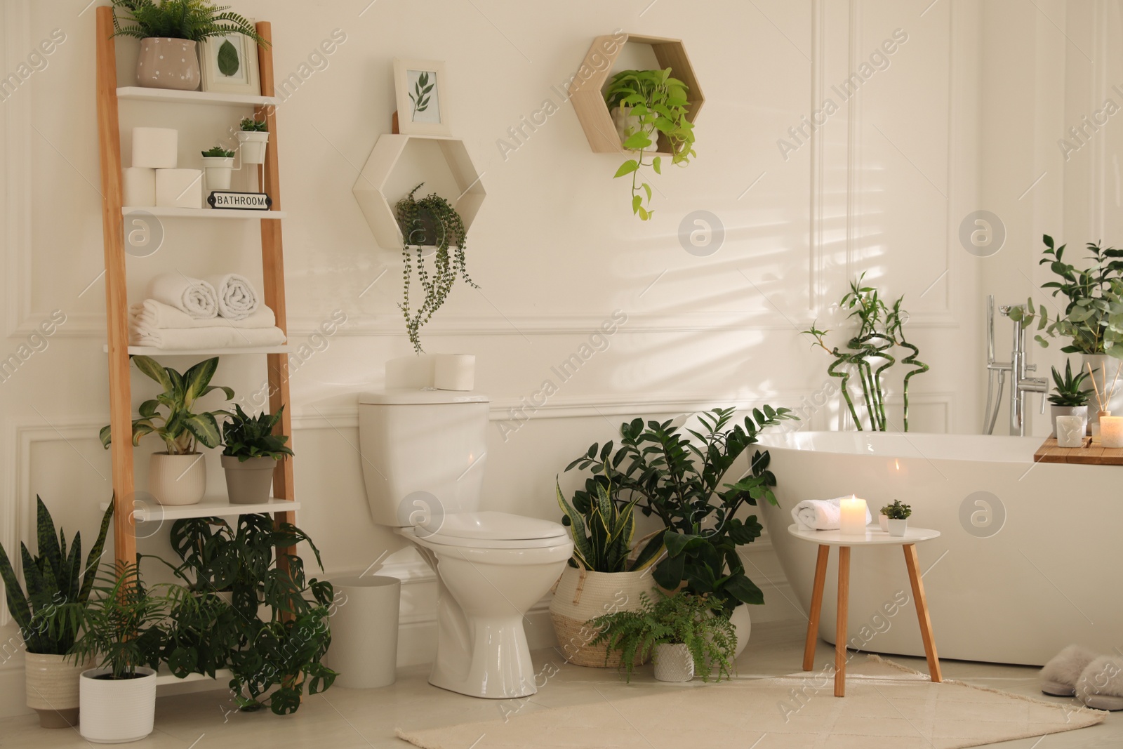 Photo of Stylish white bathroom interior with toilet bowl and green houseplants