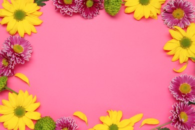 Photo of Frame of beautiful chrysanthemums on pink background, flat lay. Space for text