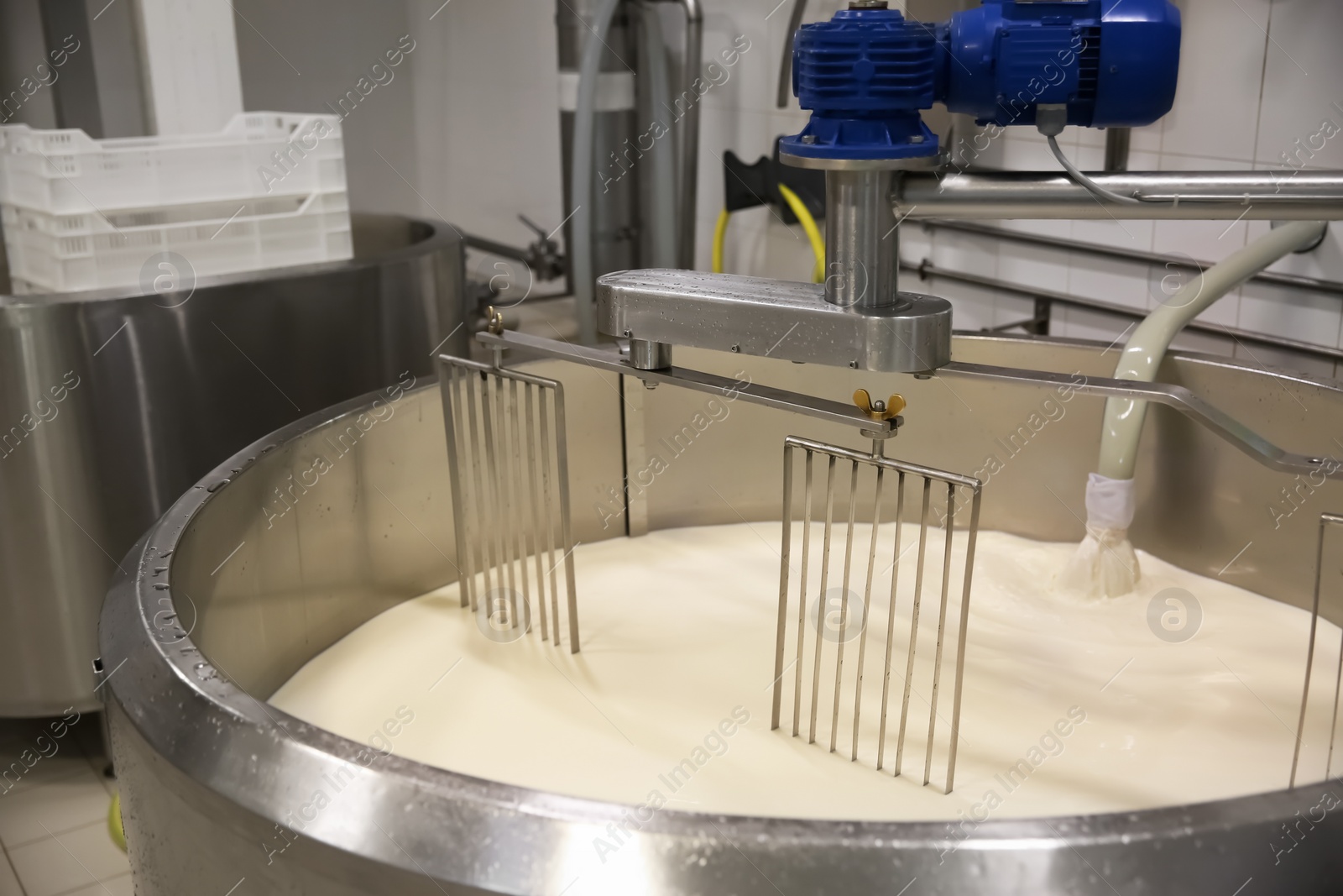Photo of Pouring milk into curd preparation tank at cheese factory