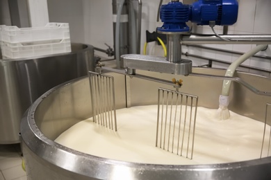 Photo of Pouring milk into curd preparation tank at cheese factory