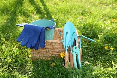 Wicker basket with bucket, gloves and gardening tools on grass outdoors