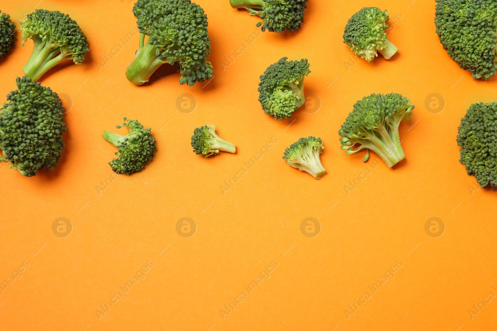 Photo of Fresh tasty broccoli on orange background, flat lay. Space for text