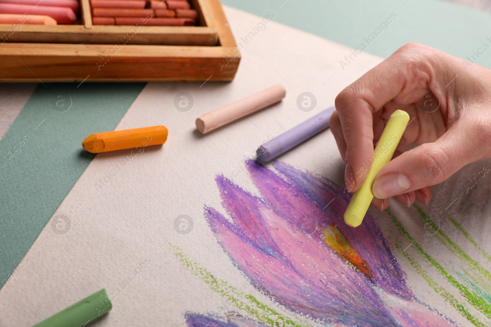 Photo of Woman drawing beautiful crocus flowers with soft pastel at table, closeup