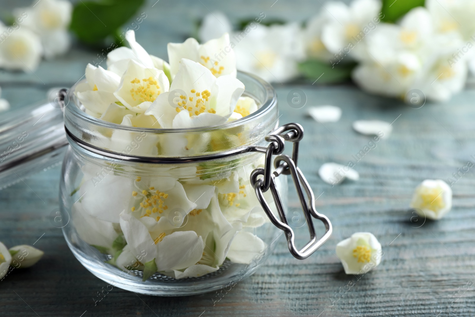 Photo of Beautiful jasmine flowers in glass jar on blue wooden table