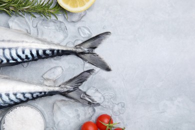 Raw mackerel, tomatoes and rosemary on light gray table, flat lay. Space for text