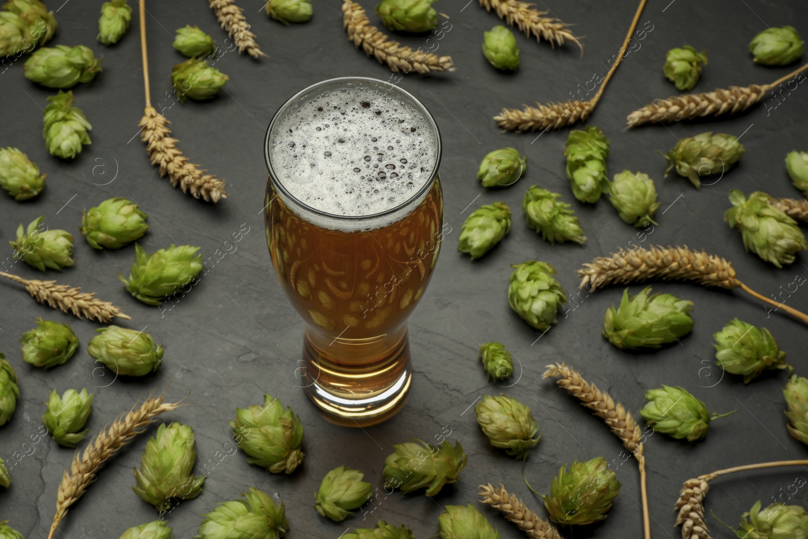 Photo of Glass of beer, fresh green hops and spikes on dark grey table