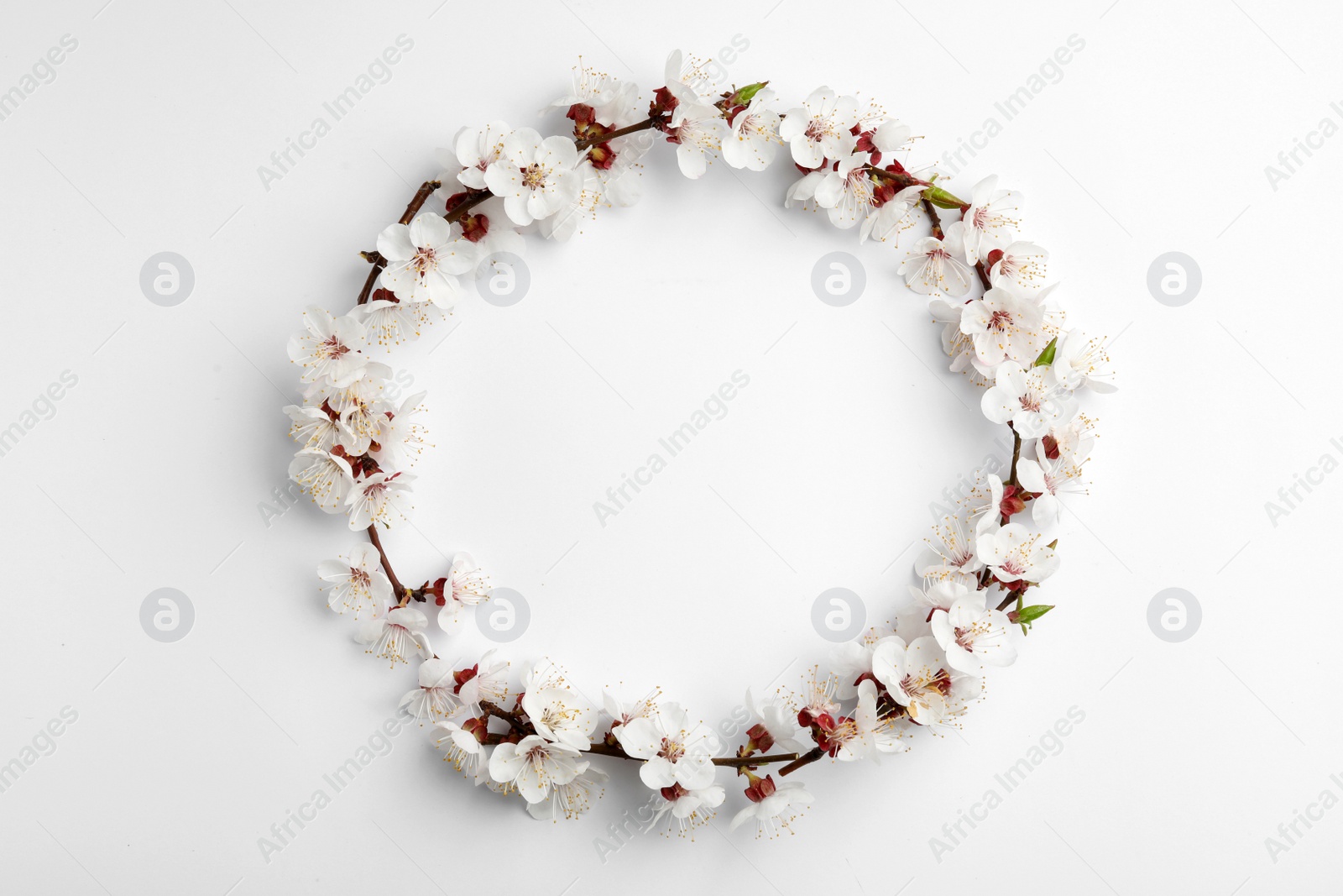 Photo of Frame made of beautiful fresh spring flowers on white background, top view with space for text