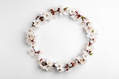 Frame made of beautiful fresh spring flowers on white background, top view with space for text