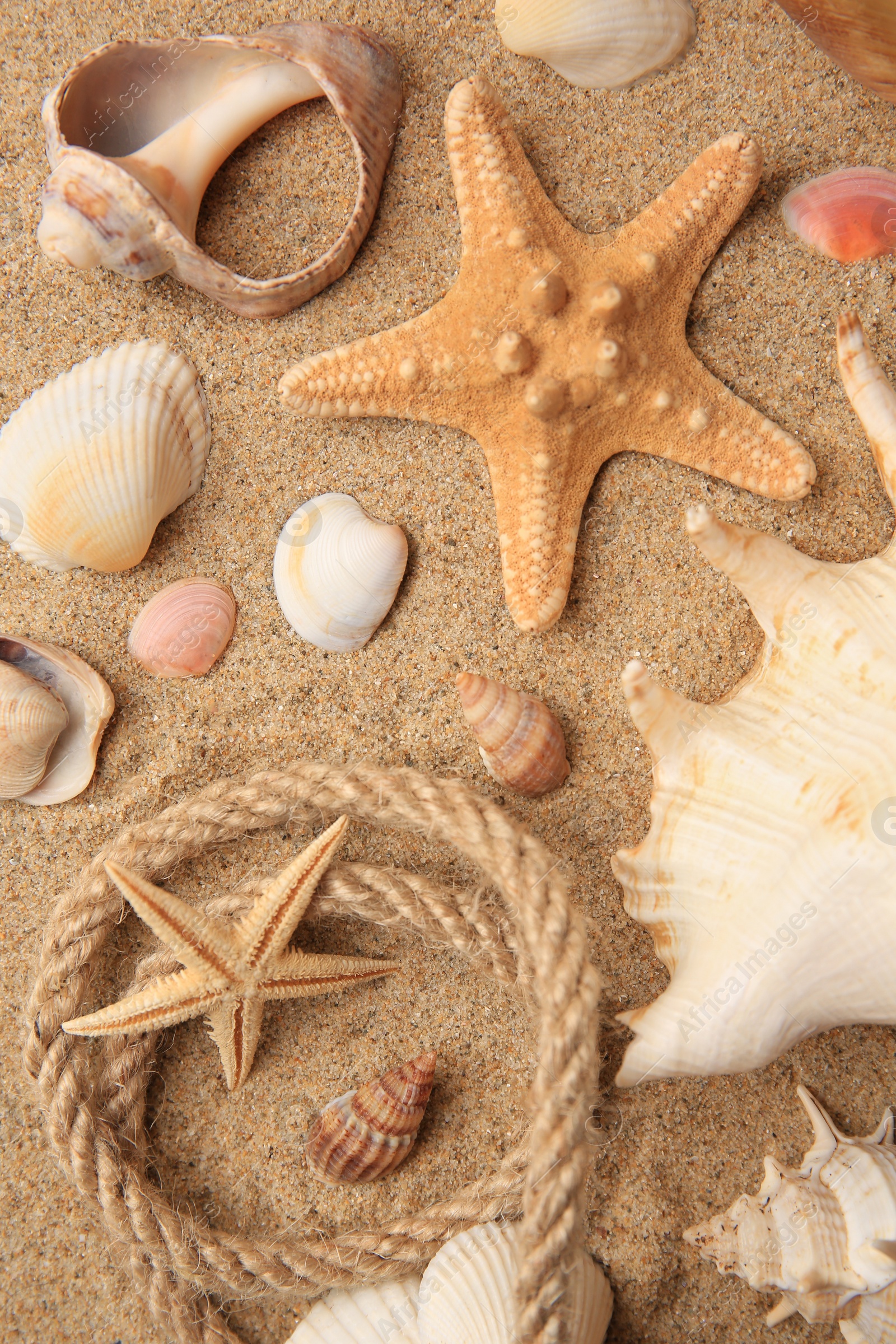 Photo of Beautiful sea stars, shells and rope on sand, flat lay