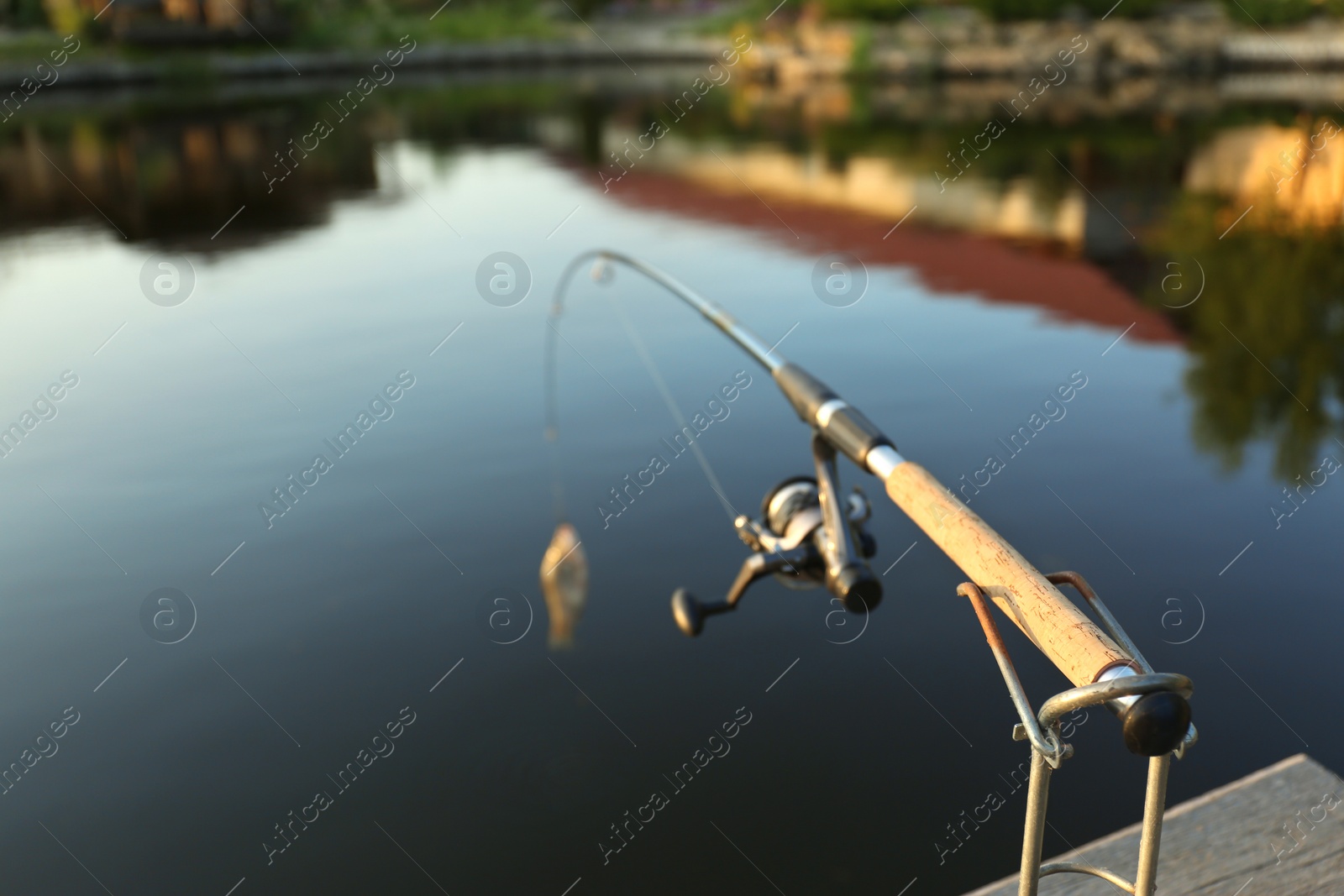 Photo of Fishing rod with caught fish at lake on sunny day