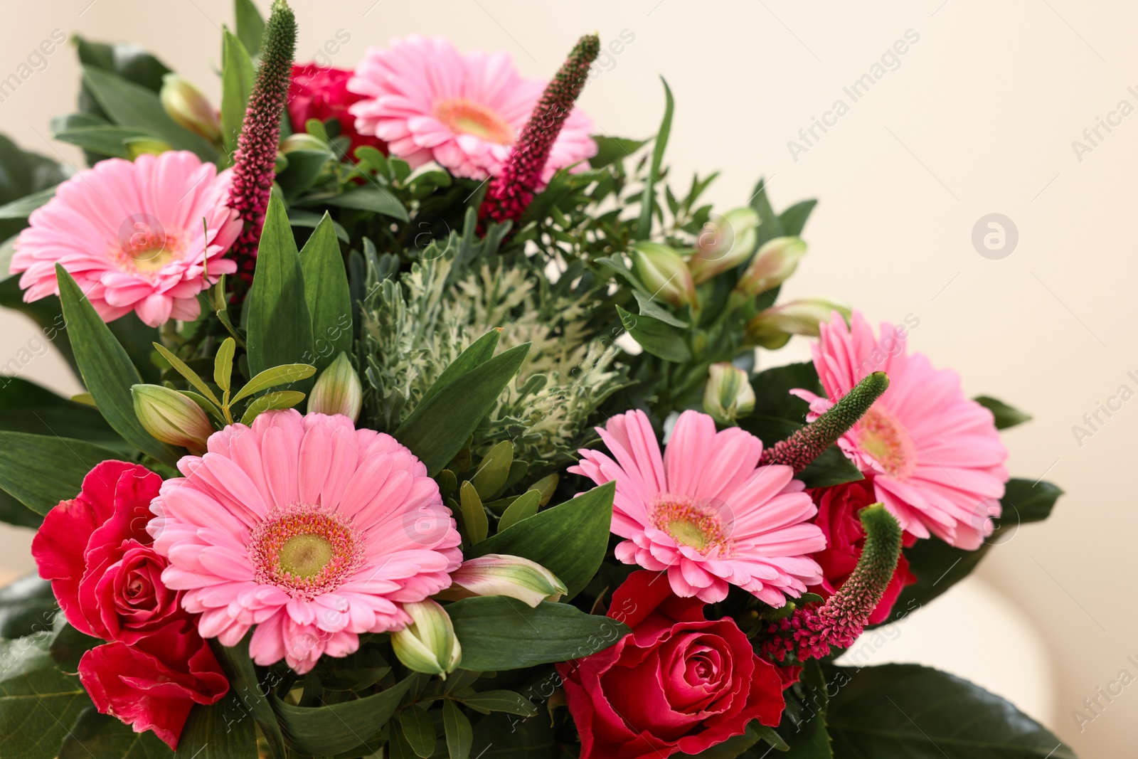 Photo of Bouquet of beautiful flowers on light background, closeup