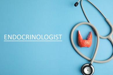 Endocrinologist. Model of thyroid gland and stethoscope on light blue background, top view