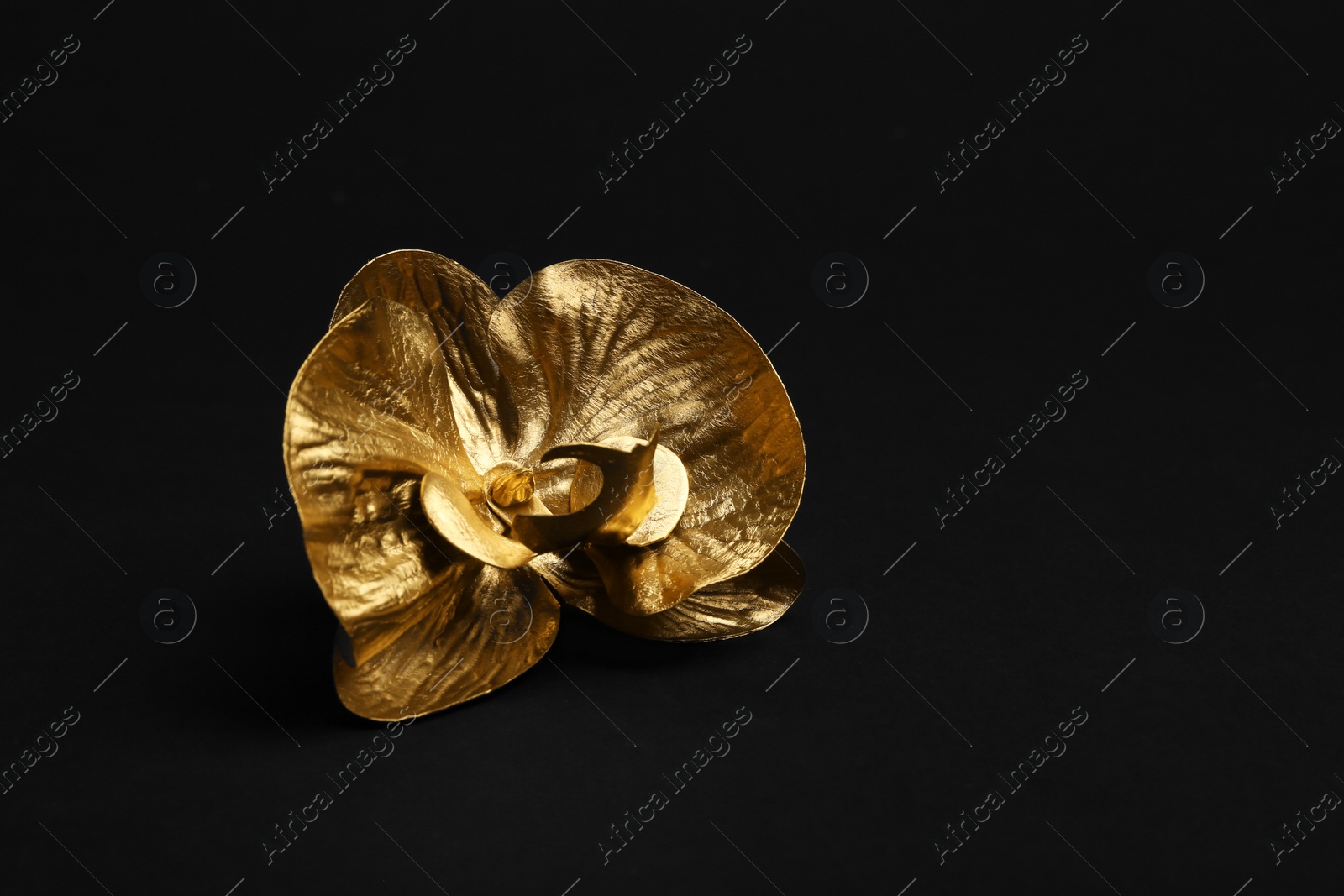 Photo of Gold decorative orchid flower on black background. Space for text