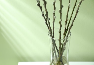 Photo of Glass vase with pussy willow tree branches near light green wall, closeup
