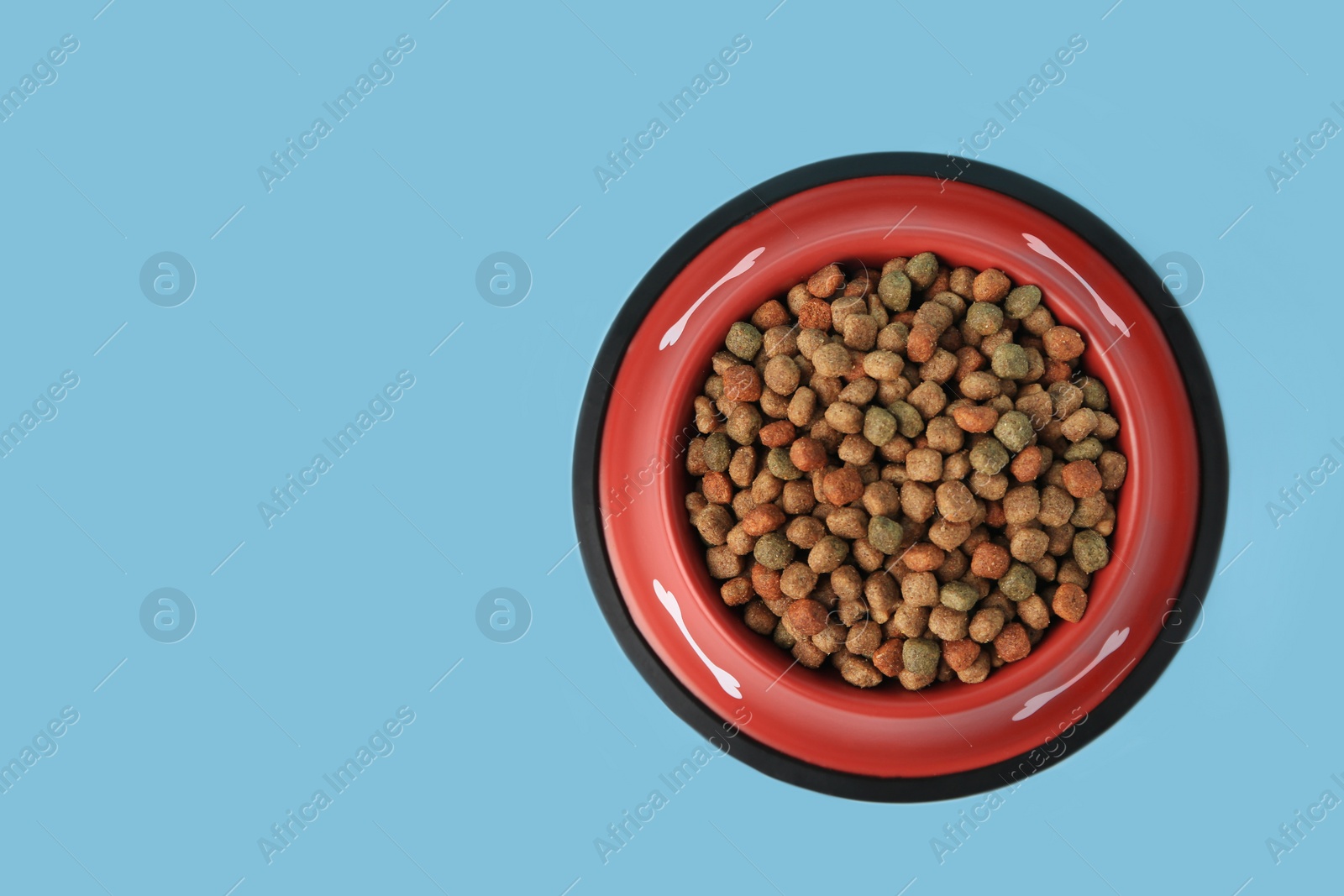 Photo of Dry dog food in feeding bowl on light blue background, top view. Space for text